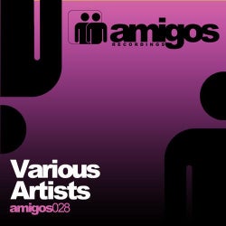 Amigos 028 Various Artists