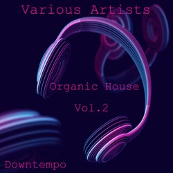 Organic House, Downtempo Vol.2