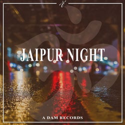 Jaipur Night