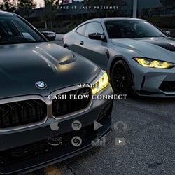 Cash Flow Connect