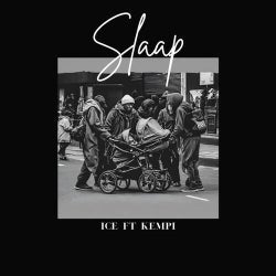 Slaap