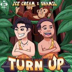 Turn Up (Extended Mix)