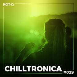 Chilltronica 029