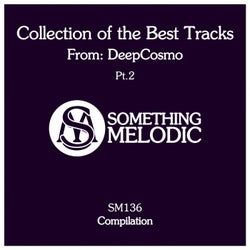 Collection of the Best Tracks From: Deepcosmo, Pt. 2