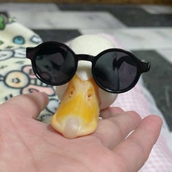 Ducks of the week 11/21/25