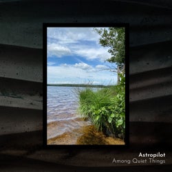 Among Quiet Things