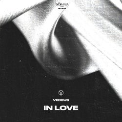 In Love (VIP Mix)