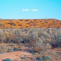 Calluna