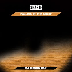 Falling in the Night (Dj Mauro Vay Radio Mix)