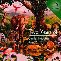 Two Years Of Similar Records Part 2