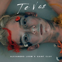 Te Vas (Extended Mix)