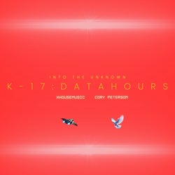 Into the Unknown K17 (Data Hours)