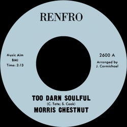 Too Darn Soulful b/w You Don't Love Me Anymore