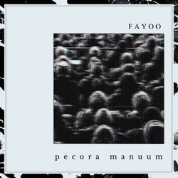 Pecora Manuum