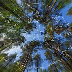Wilderness / Come Around