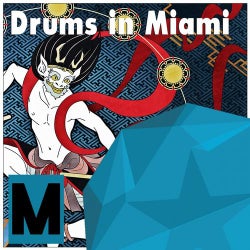 Drums In Miami