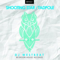 Shooting Star / Tadpole