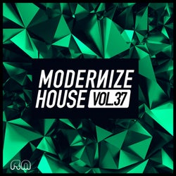 Modernize House Vol. 37