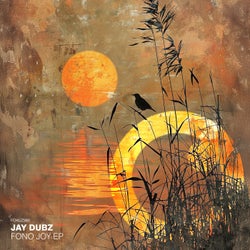Pochette pour Fono Joy EP