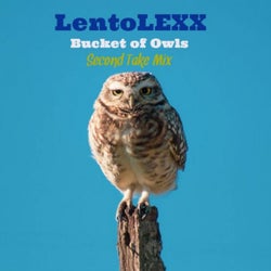 Bucket of Owls (Second Take Mix)