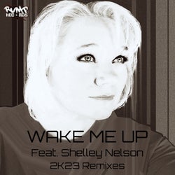 Wake Me Up (2K23 Remixes)