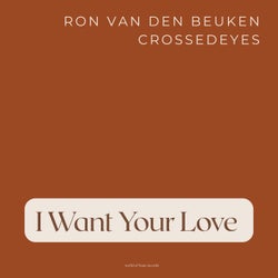 I Want Your Love