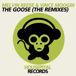 The Goose (The Remixes)