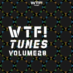 Wtf! Tunes, Vol. 28