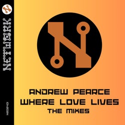 Where Love Lives (The Mixes)