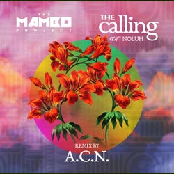 The Calling ( A.C.N. Remixes)