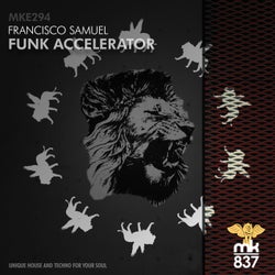 Funk Accelerator