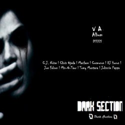 Dark Section Compilation Vol.1