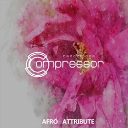 Afro Attribute