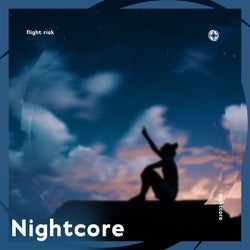 Flight Risk - Nightcore