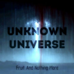 Unknown Universe