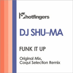 Funk It Up ((original mix))