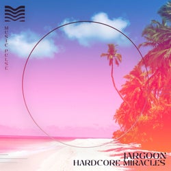 Hardcore Miracles