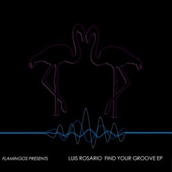 Find Your Groove EP