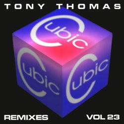 T T Remixes Vol 23