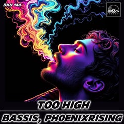 Too High (Original Mix)