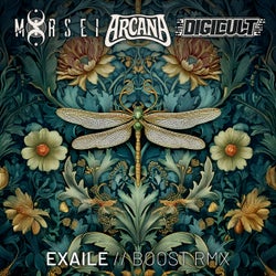 Boost (Arcana, DigiCult & MoRsei Remix)