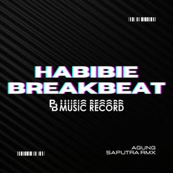 BREAKBEAT HABIBI MENGKANEE (AGUNG SAPUTRA Remix)