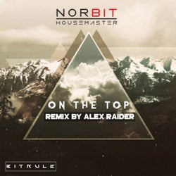 On The Top (Alex Raider Remix)