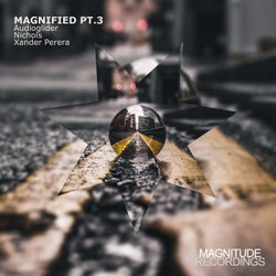 Magnified Pt. 3