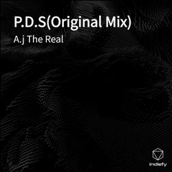 P.D.S(Original Mix)