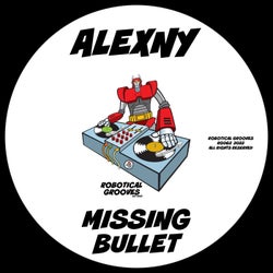 Missing Bullet