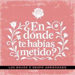 ¿En Dónde Te Habías Metido?