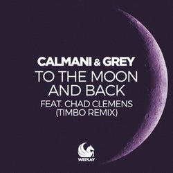 To the Moon and Back (Timbo Remix)