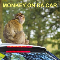 MONKEY ON DA CAR