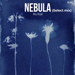 Nebula (Select Mix)